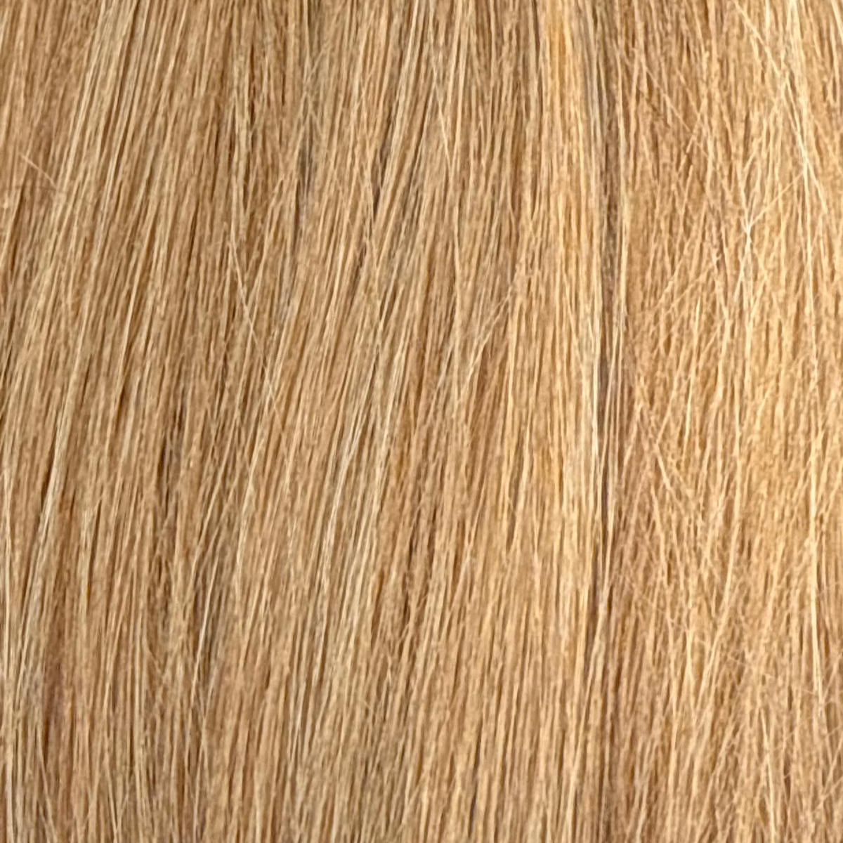 Nahaufnahme der Echthaar-Struktur von Tape In Extensions in Golden-Beige-Blond