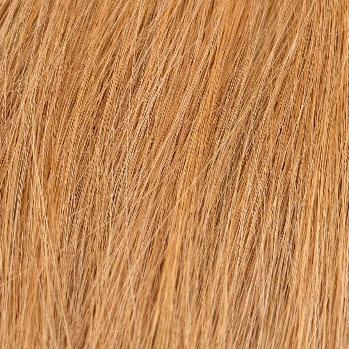 Nahaufnahme der Echthaar-Struktur von Bonding Extensions in Beigeblond-Gold